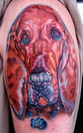 Cecil Porter - dog (bloodhound)